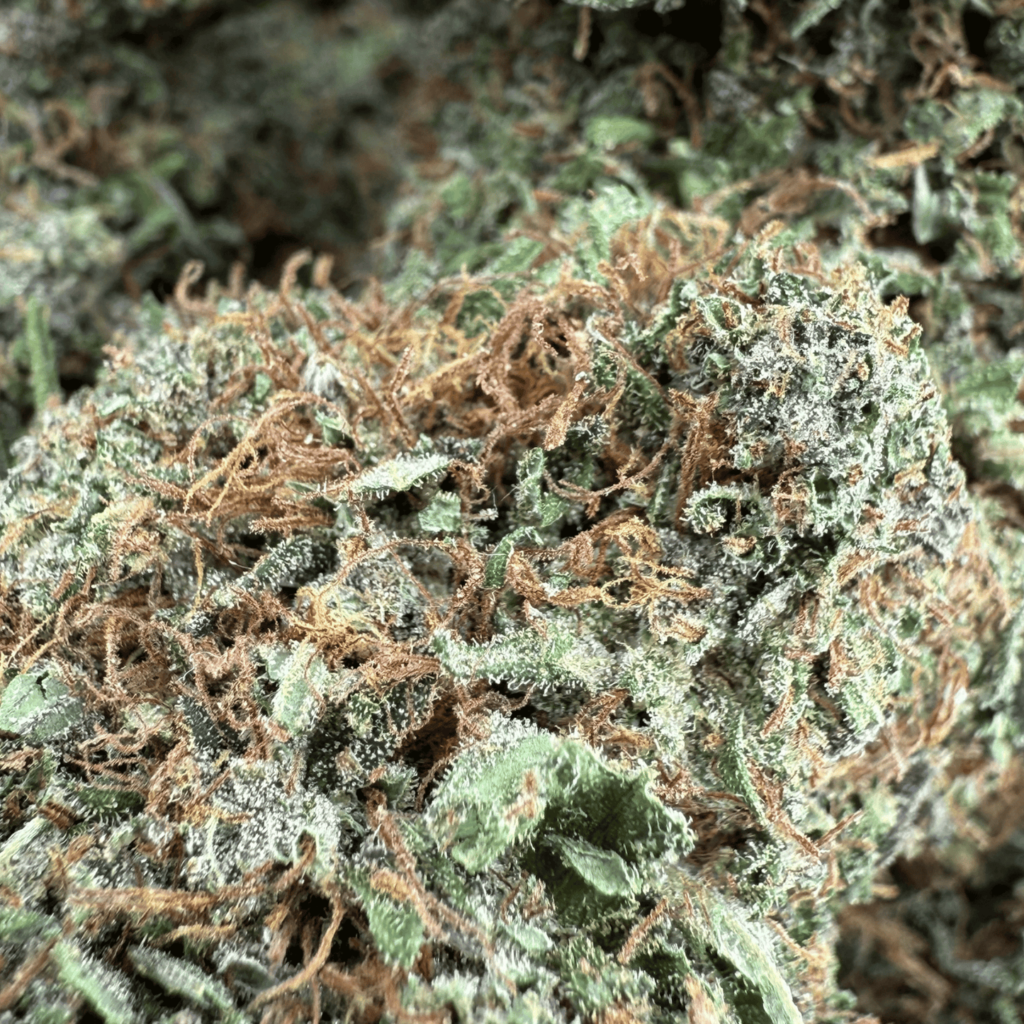 YAK PUDDING - FLEUR DE CBD BIO - LIGHT DEP