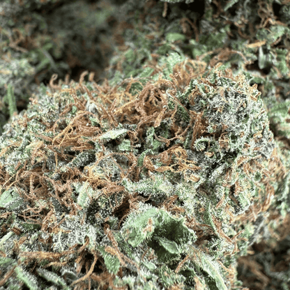 YAK PUDDING - FLEUR DE CBD BIO - LIGHT DEP