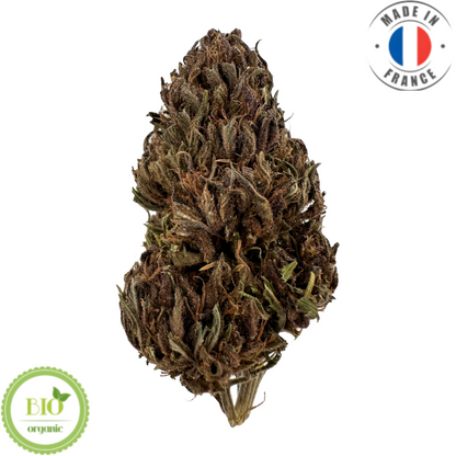 BLAUBEER-GELATO – BIO-CBD-BLUME