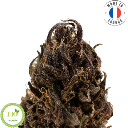 Blueberry Gelato - Fleurs de CBD bio (Amour de Chanvre)