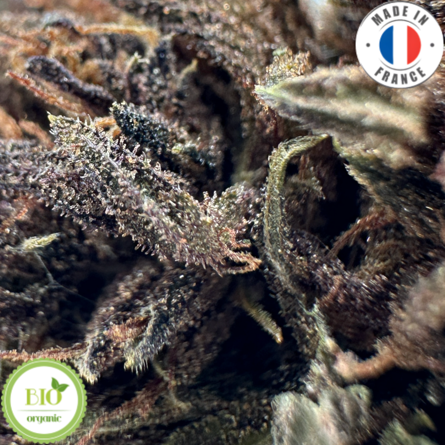 BLUEBERRY GELATO - FLEUR DE CBD BIO