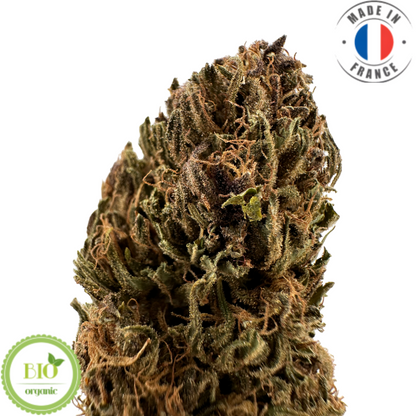 BLAUBEER-GELATO – BIO-CBD-BLUME