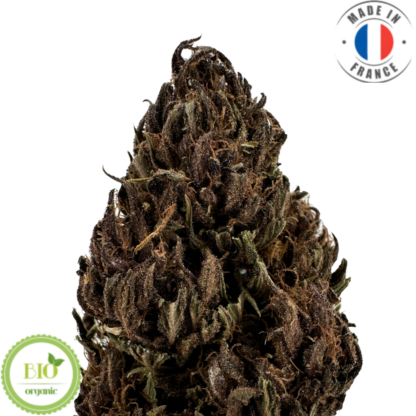 BLUEBERRY GELATO - FLEUR DE CBD BIO