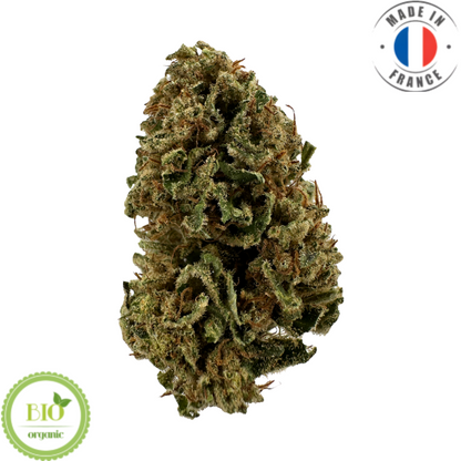 BLUE DREAM - FLEUR DE CBD BIO