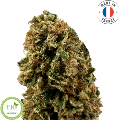 Fleur de CBD bio - Blue Dream (Amour de Chanvre)