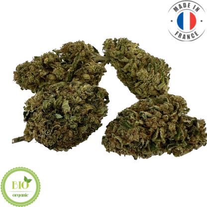 BLUE DREAM - FLEUR DE CBD BIO