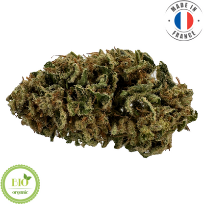 BLUE DREAM - FLEUR DE CBD BIO