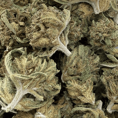 CARAMELO - PETITE FLEUR DE CBD BIO