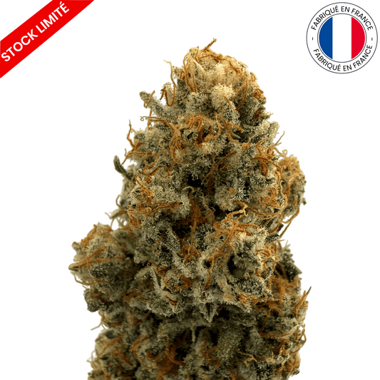 Fruit Du Démon - Fleur de CBD Indoor (Amour de Chanvre)
