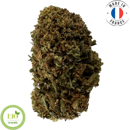 GELATO – KLEINE BIO-CBD-BLUME