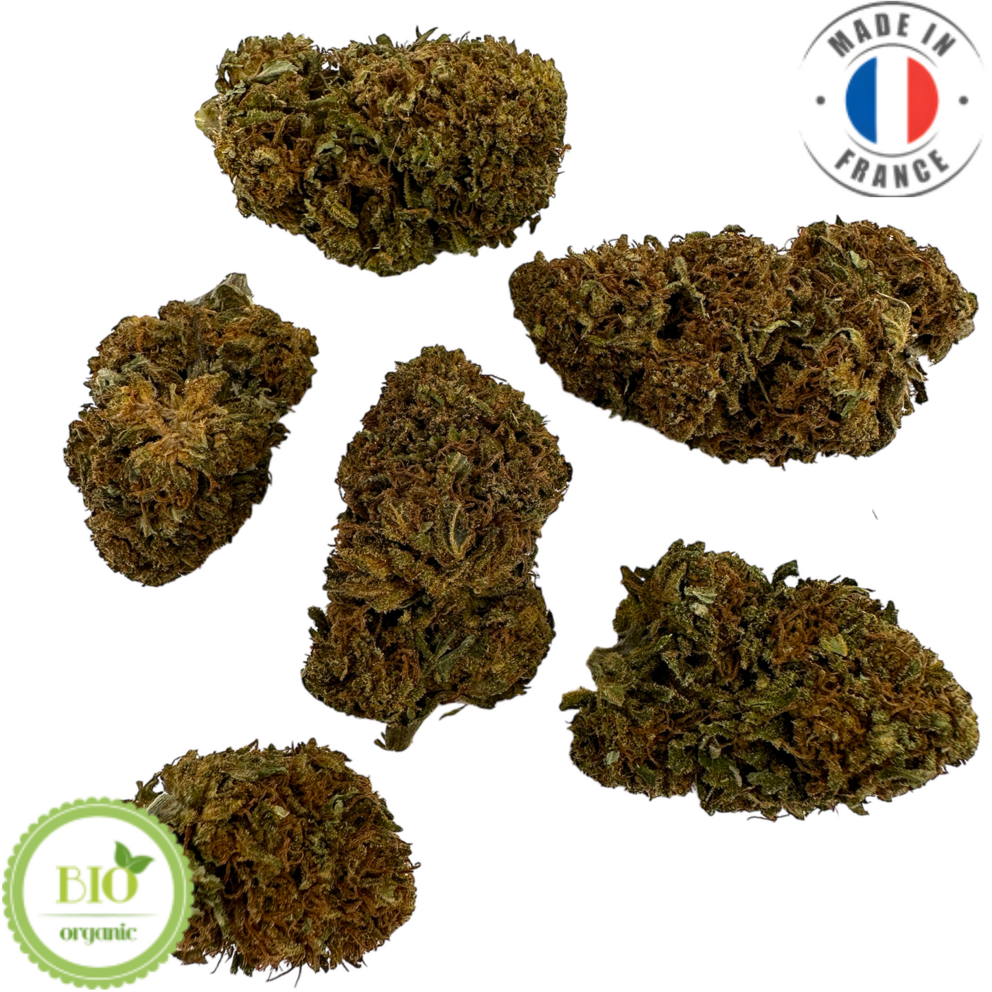 GELATO – KLEINE BIO-CBD-BLUME