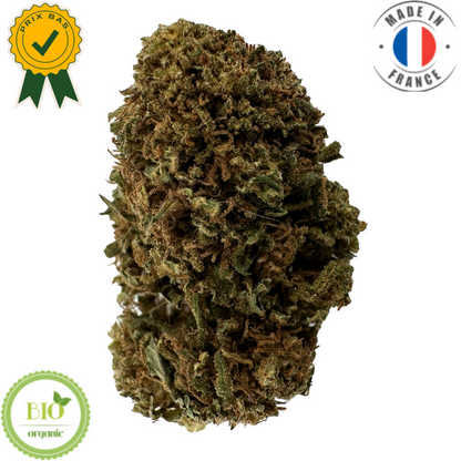 Petite fleur de CBD bio - GELATO (Amour de Chanvre)