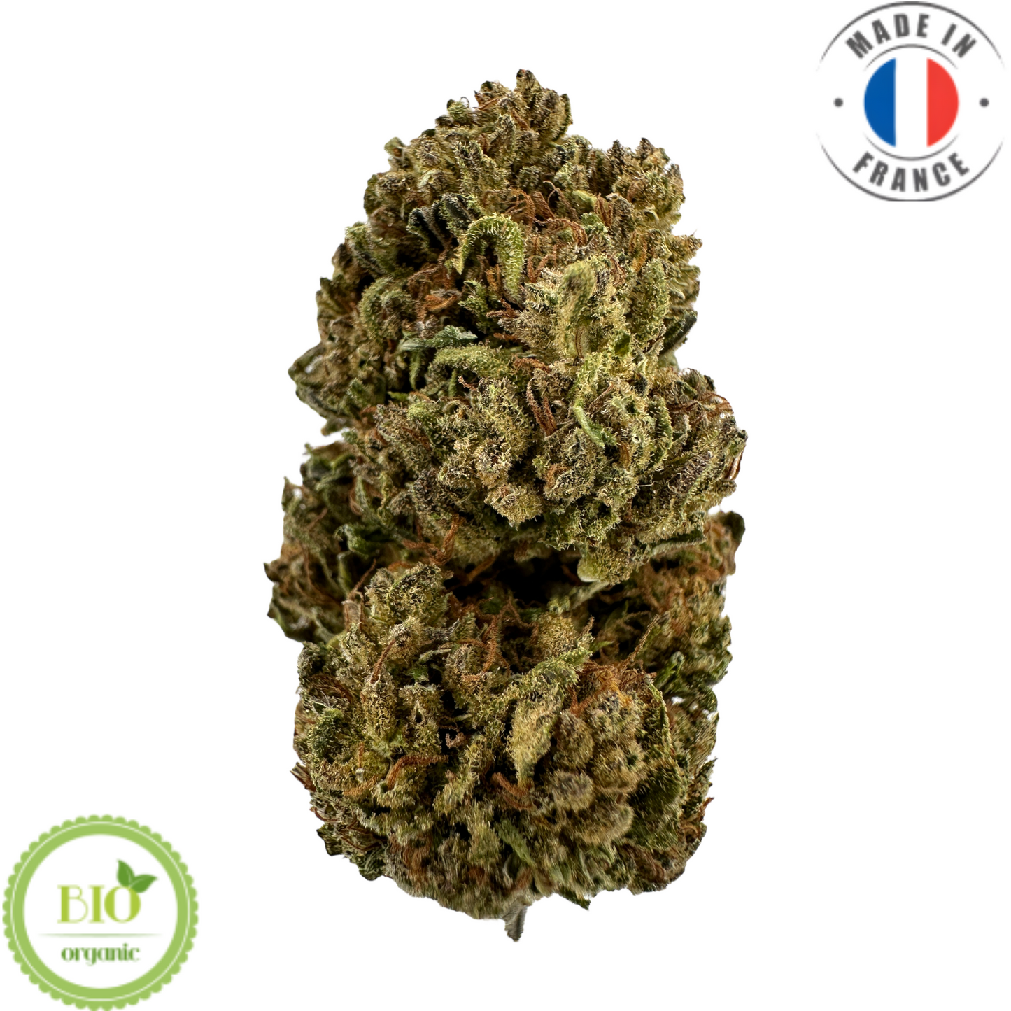 Golden Kush - Fleur de CBD bio pas chère (Amour de Chanvre)