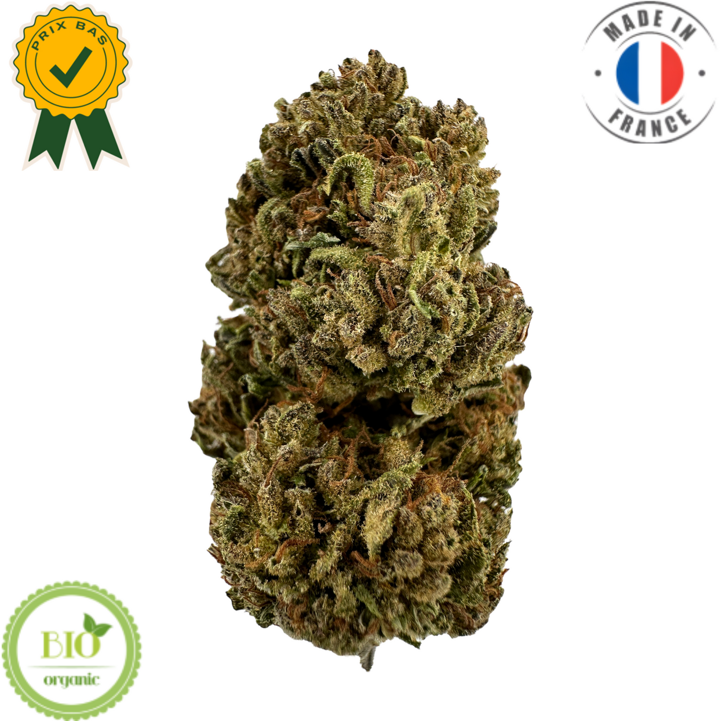 Golden Kush - Fleur de CBD bio pas chère (Amour de Chanvre)