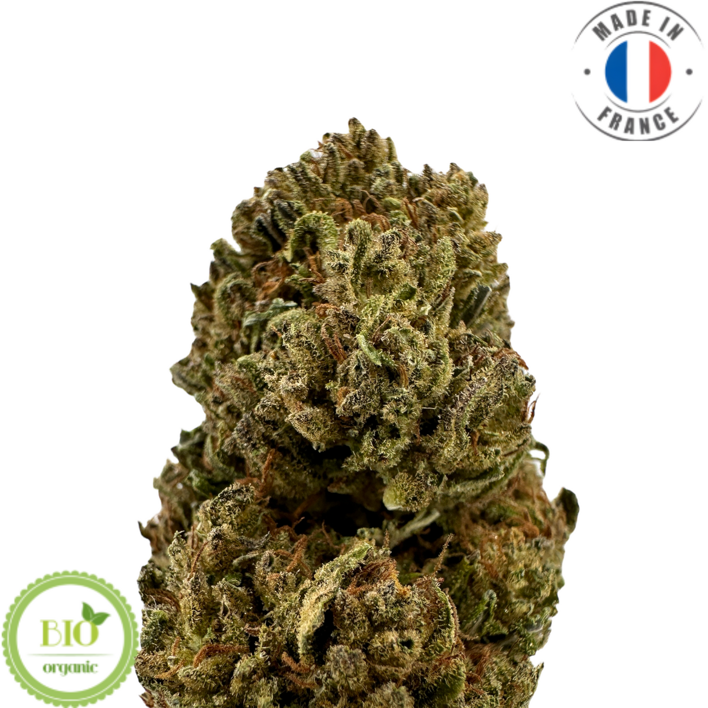 GOLDEN KUSH - FLEUR DE CBD BIO