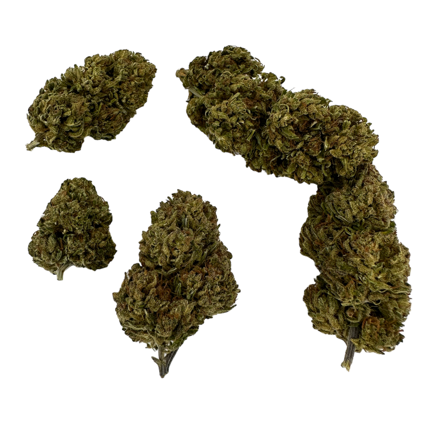 GOLDEN KUSH – BIO-CBD-BLUME