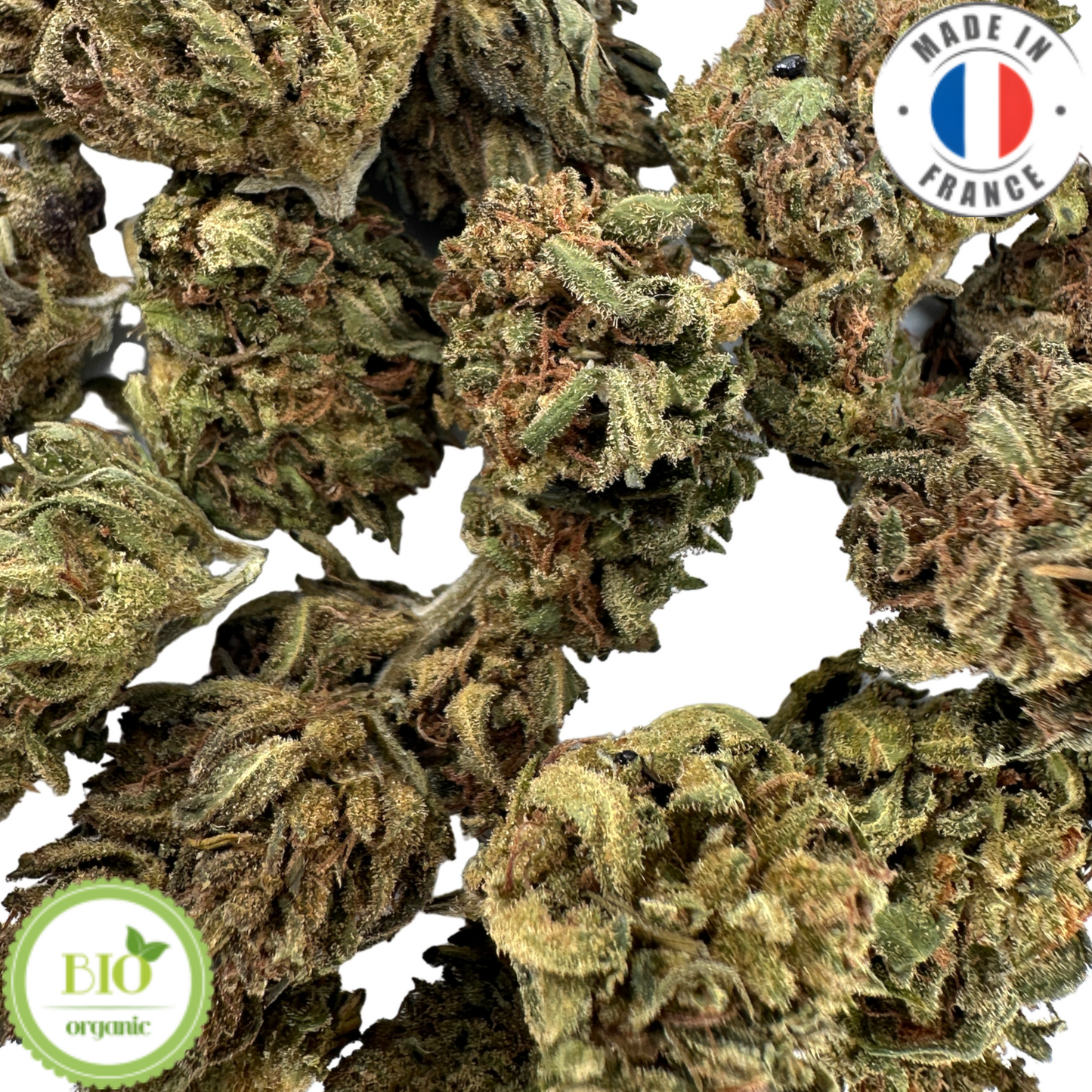 HAWAIIAN HAZE - PETITE FLEUR DE CBD BIO