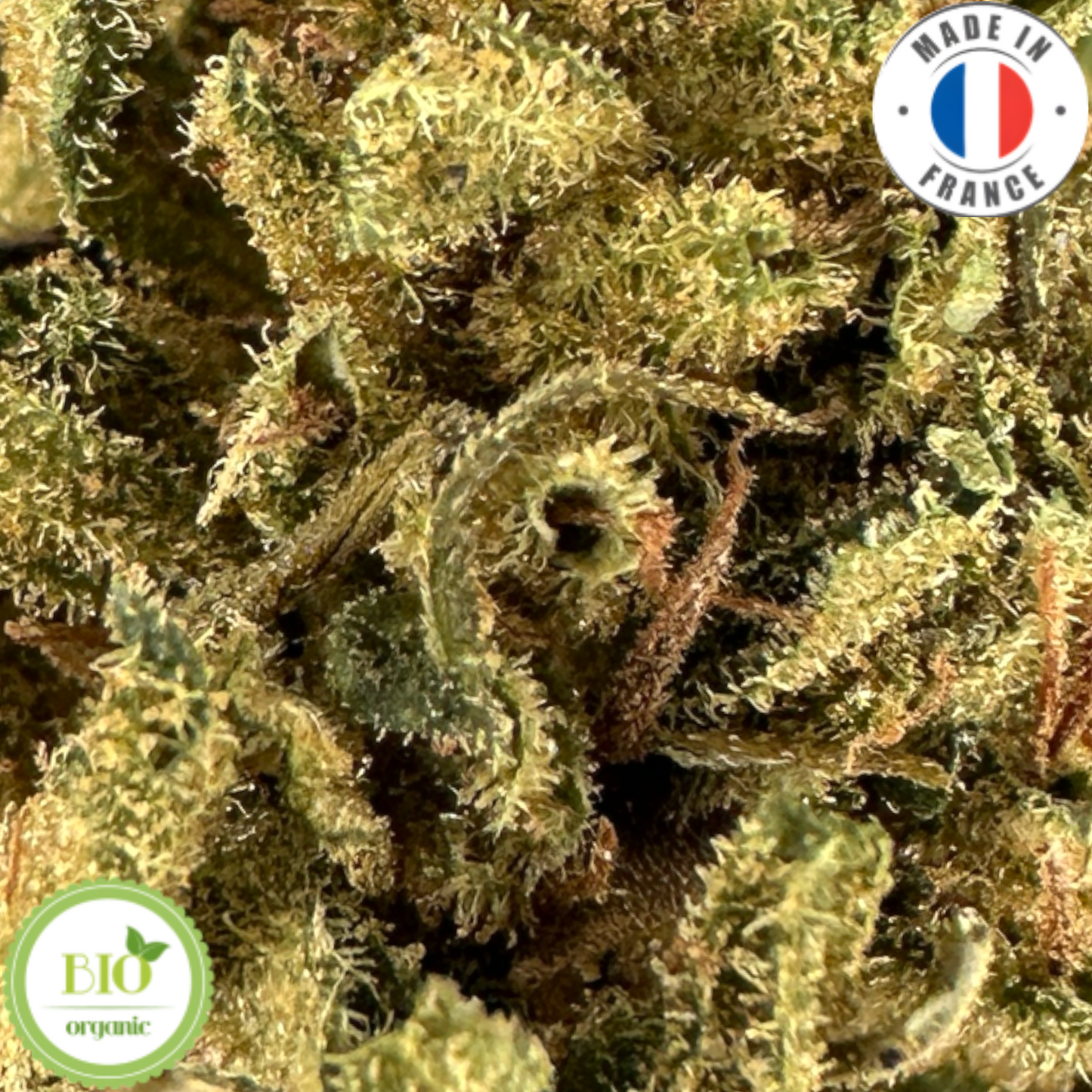 HAWAIIAN HAZE - PETITE FLEUR DE CBD BIO