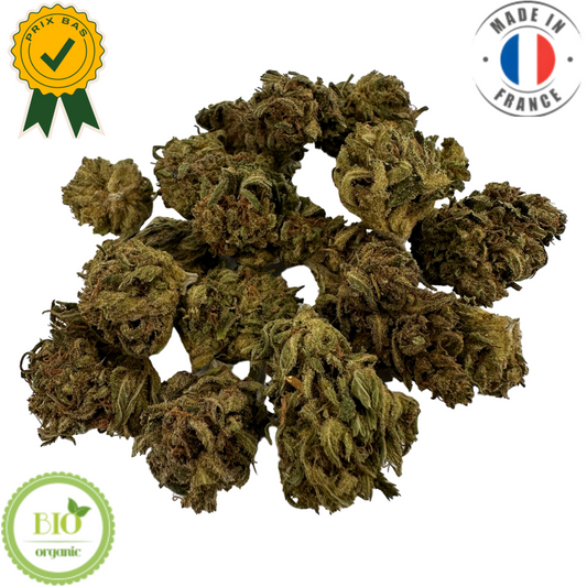 HAWAIIAN HAZE - PETITES FLEURS DE CBD BIO