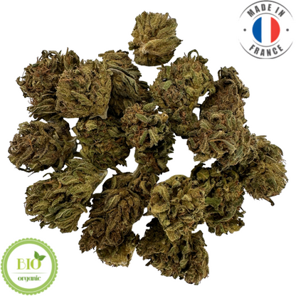 HAWAIIAN HAZE – KLEINE BIO-CBD-BLUME