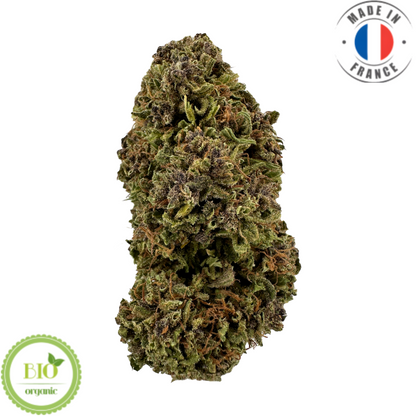 KUSH N CREAM - FLEUR DE CBD BIO