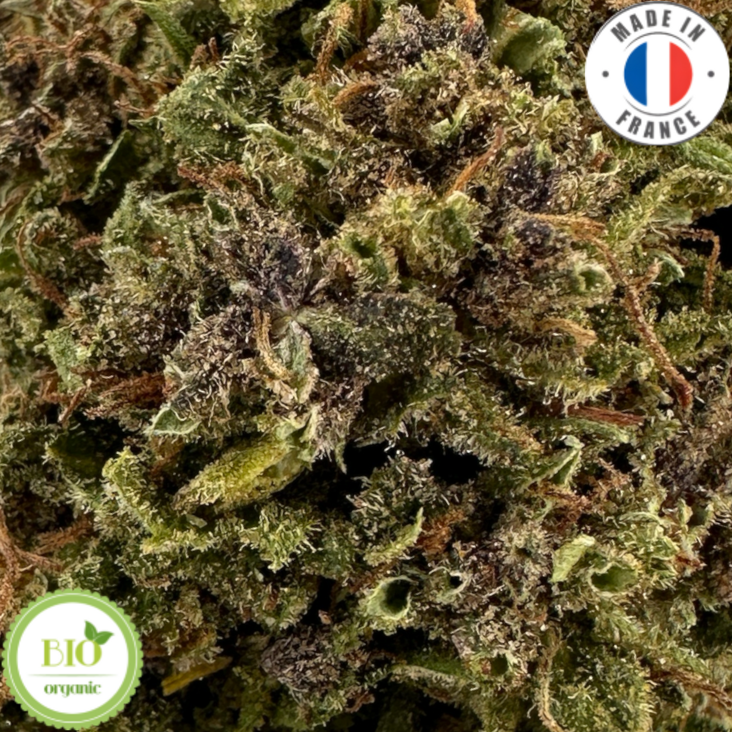 KUSH N CREAM – BIO-CBD-BLUME