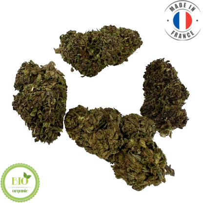 KUSH N CREAM – BIO-CBD-BLUME