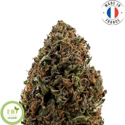 LIFTER - Fleur de CBD bio pas chère (Amour de Chanvre)