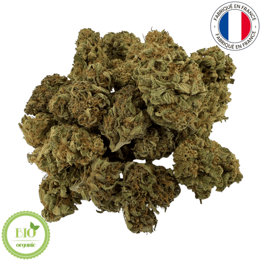 Mango Haze - Fleur de CBD bio (Amour de Chanvre)