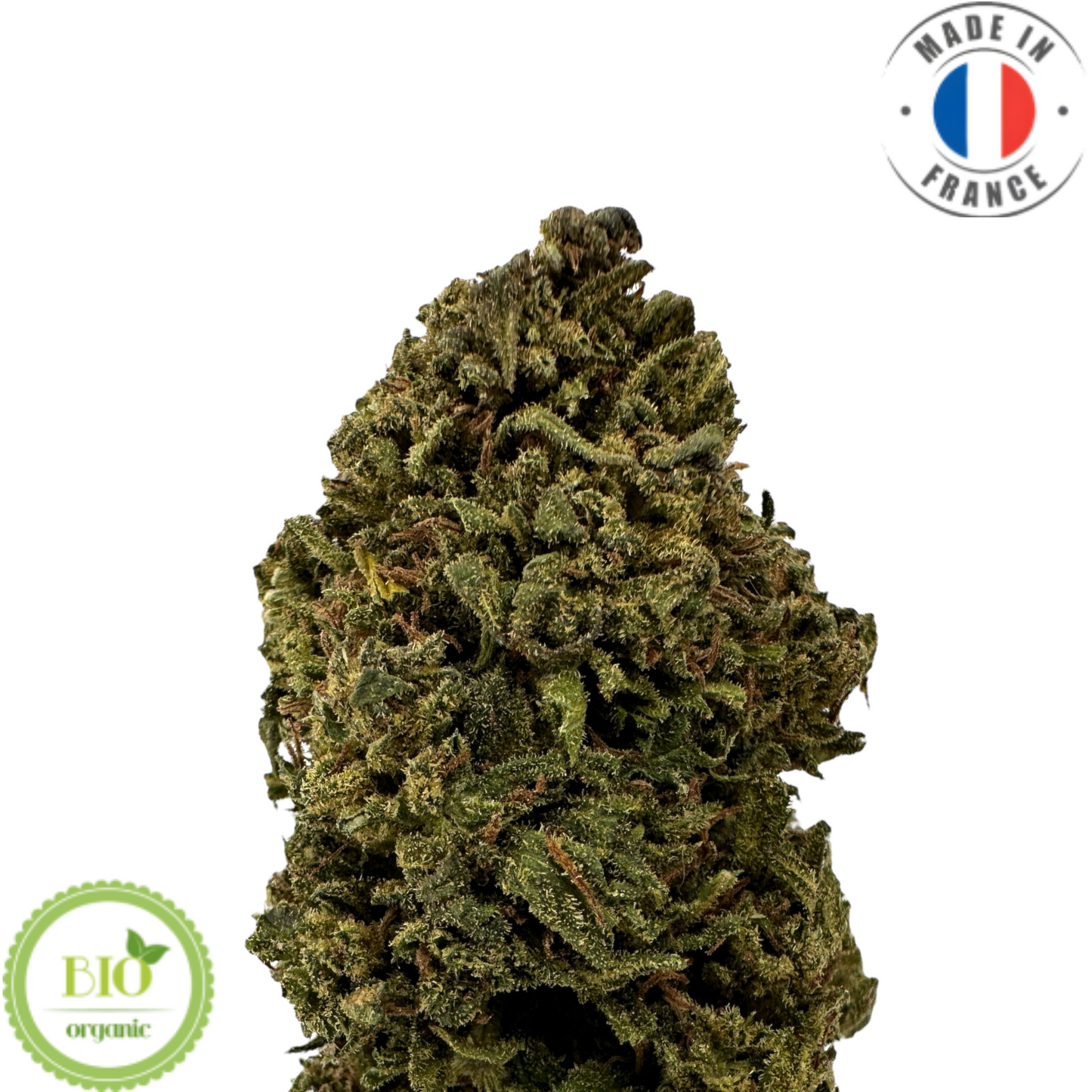 ORANGE BUDDHA - FLEUR DE CBD BIO