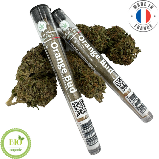 Joint de CBD pré-roulé "Orange Bud" (Amour de Chanvre)