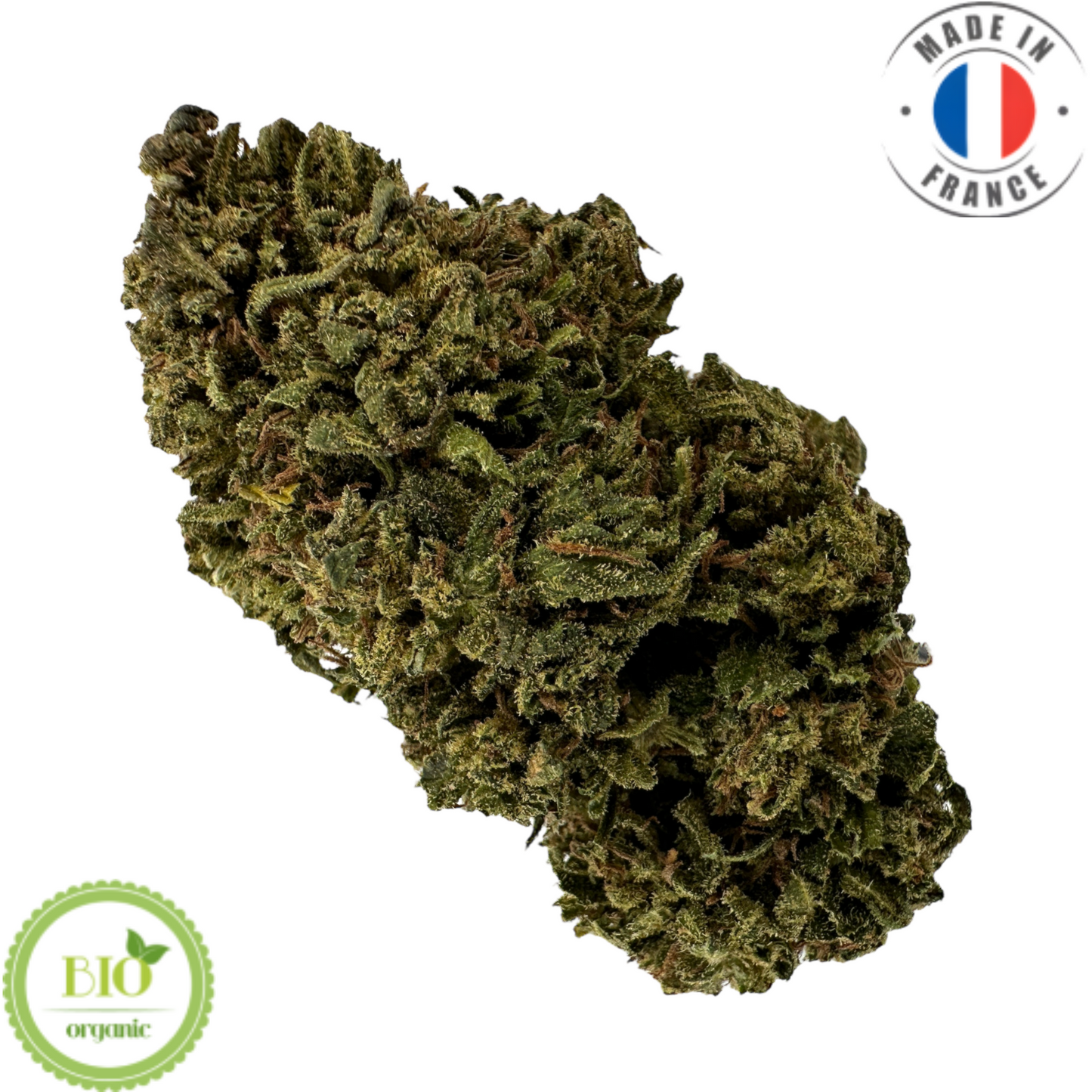 ORANGE BUDDHA – BIO-CBD-BLUME