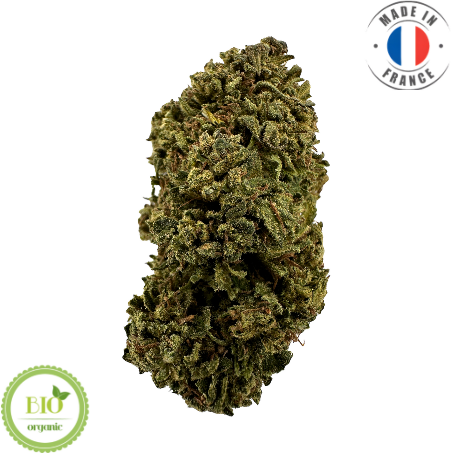 ORANGE BUDDHA – BIO-CBD-BLUME