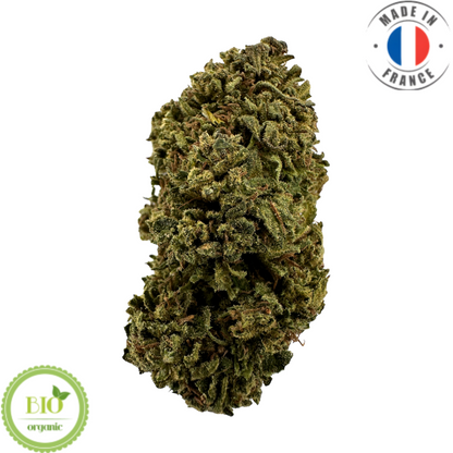 ORANGE BUDDHA – BIO-CBD-BLUME