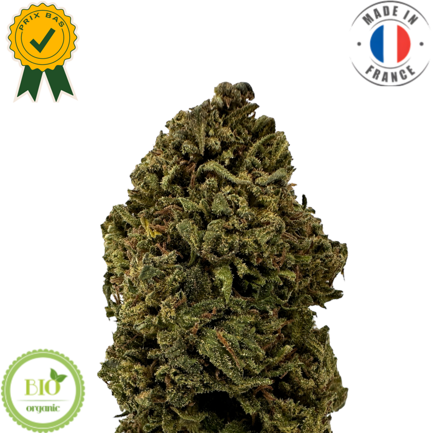 ORANGE BUDDHA - Fleur de CBD bio pas chère (Amour de Chanvre)