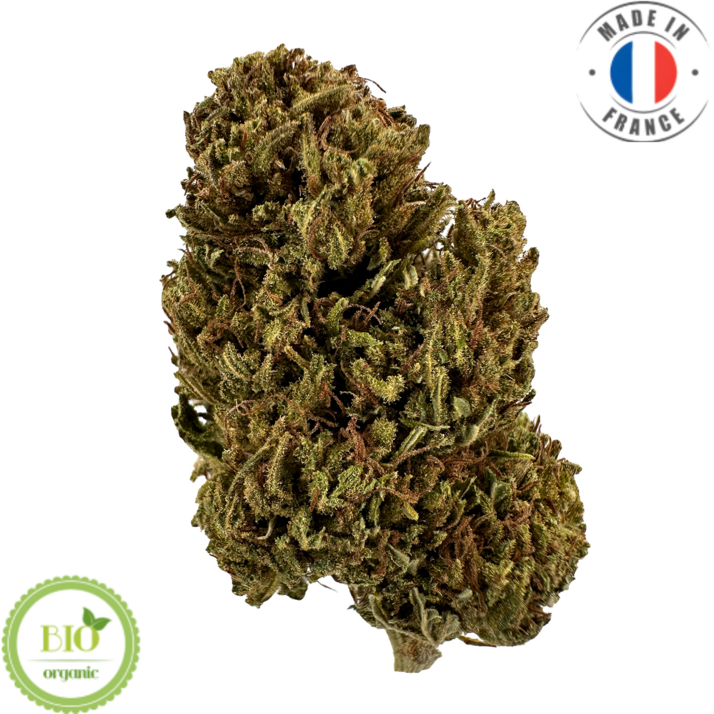 ORANGE BUDDHA – BIO-CBD-BLUME