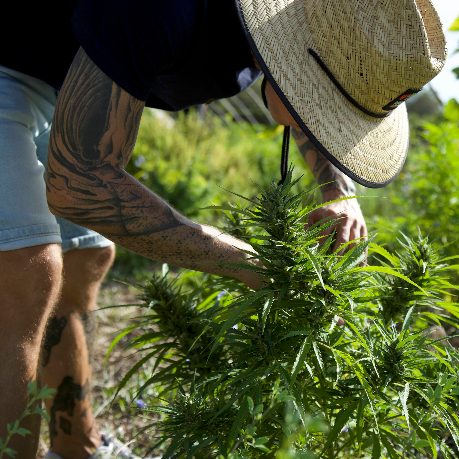 visite chez un de nos producteurs