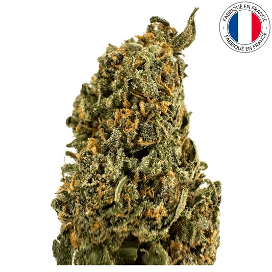 PINK SHARK - FLEUR DE CBD BIO (Amour de Chanvre)
