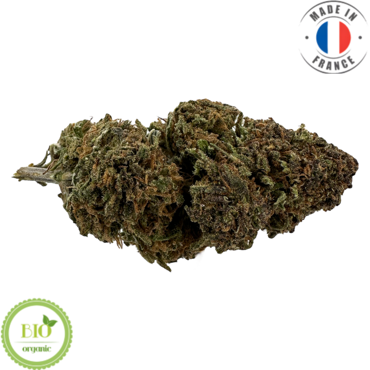 SAPPHIRE KUSH – BIO-CBD-BLUME