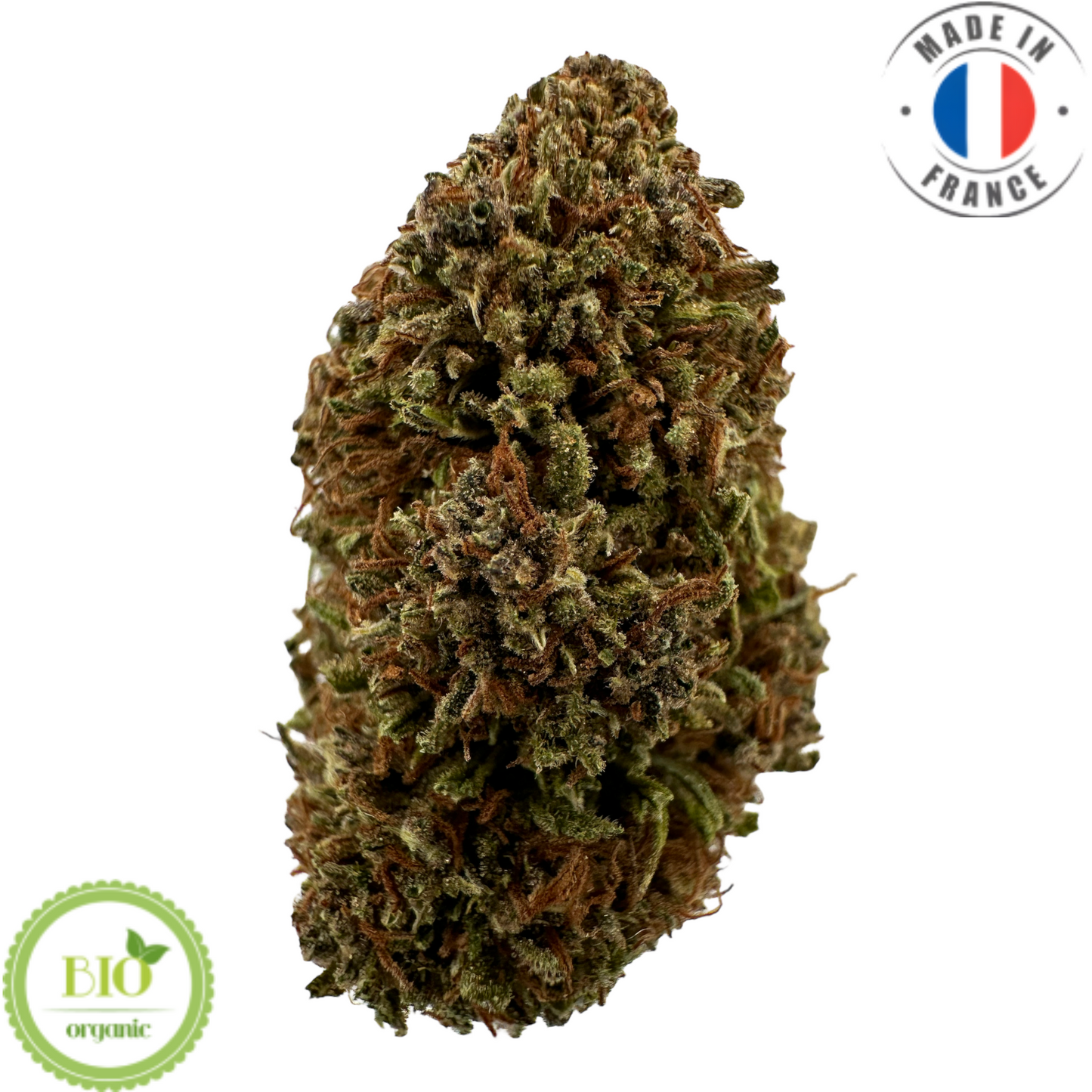 SAPPHIRE KUSH – BIO-CBD-BLUME