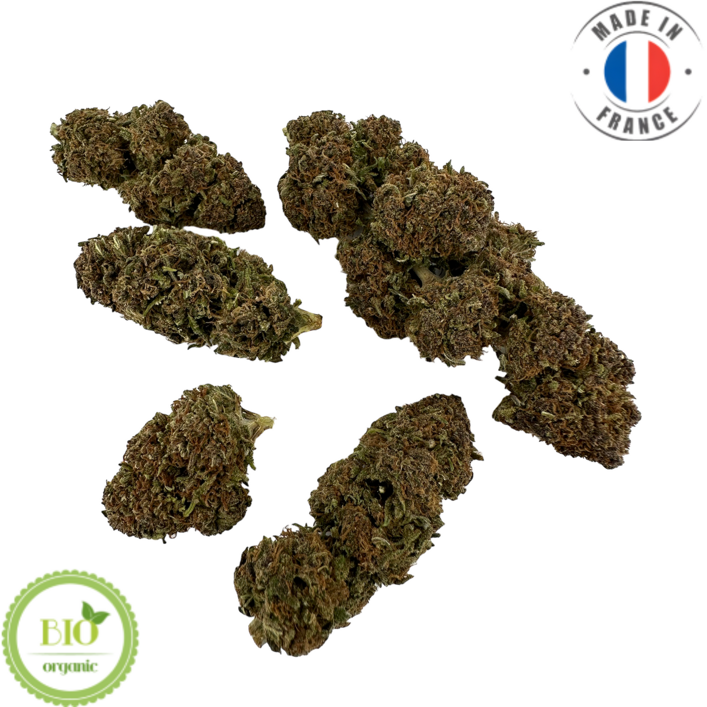 SAPPHIRE KUSH – BIO-CBD-BLUME