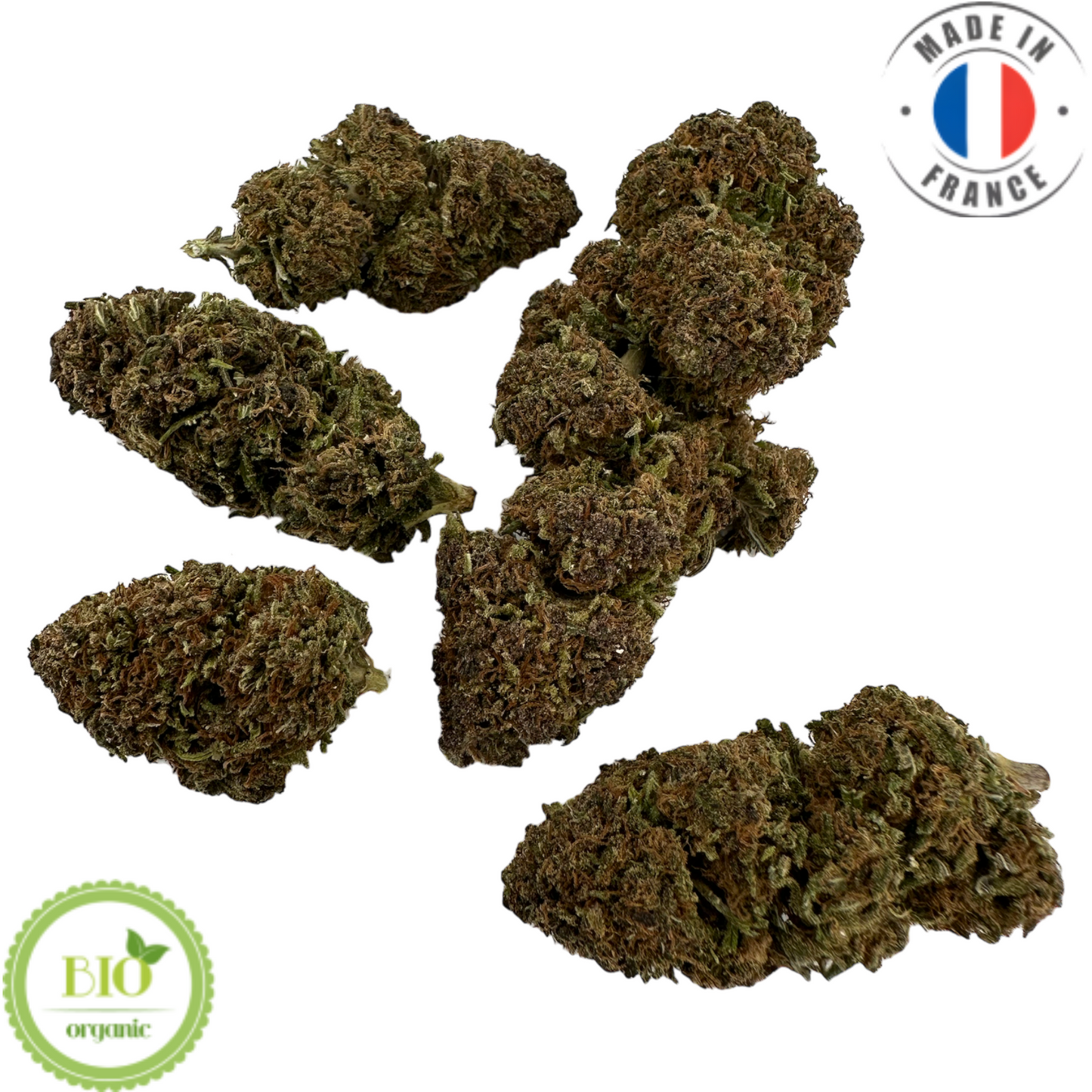 SAPPHIRE KUSH – BIO-CBD-BLUME