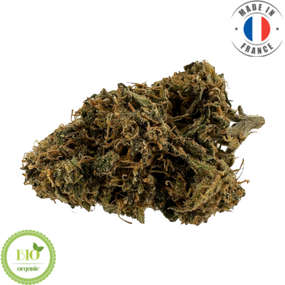 SKUNK DREAM – BIO-CBD-BLUME