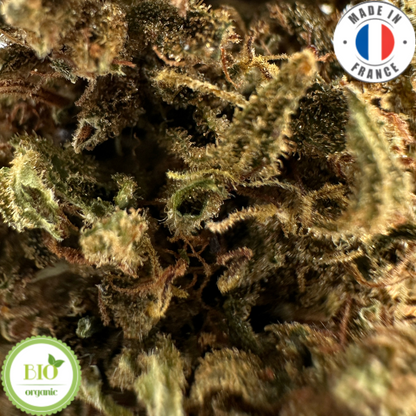 SKUNK DREAM - FLEUR DE CBD BIO