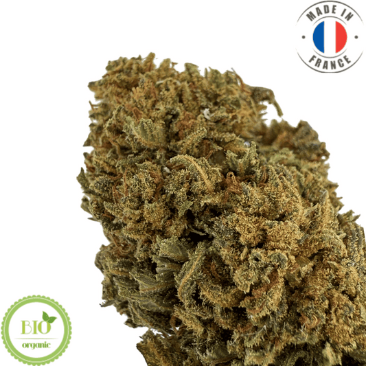 STRAWBERRY - Fleur de CBD bio (Amour de Chanvre)