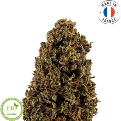 Fleur de cbd bio - super candy - (amour de chanvre)