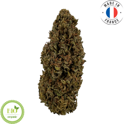 SUPER CANDY – BIO-CBD-BLUME 