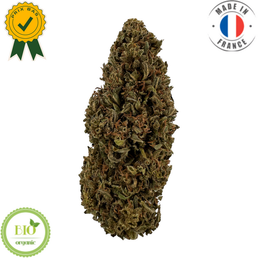 SUPER CANDY - FLOR DE CBD ORGÁNICA 