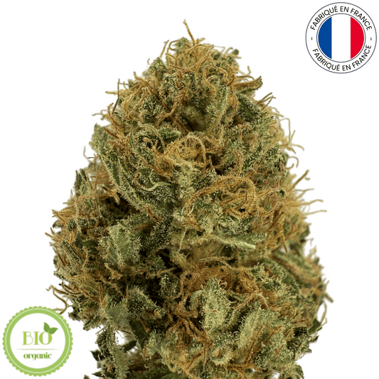 Super Lemon - Fleur de CBD bio (Amour de Chanvre)