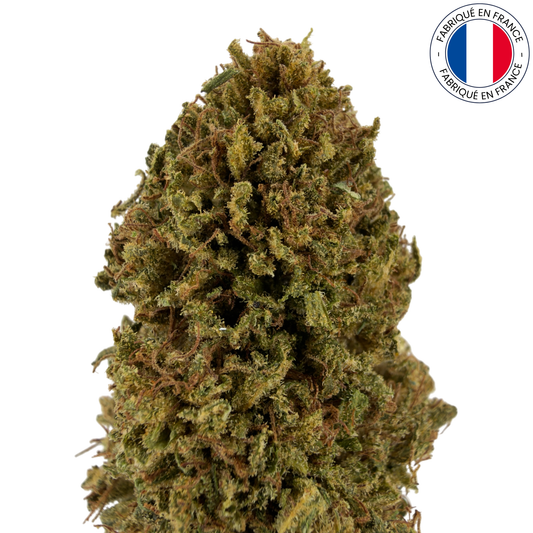 SUVER HAZE - Fleur de CBD bio (Amour de Chanvre)